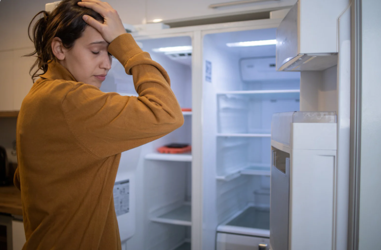 Fridge repair service emergency